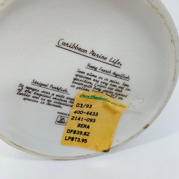 Vintage Caribbean Barbados Marine Life Porcelain Mug Angel Fish Sea Life Story - Picture 8 of 12